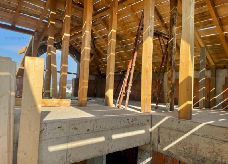 Vila la rosu  Domnesti Ciutaci.